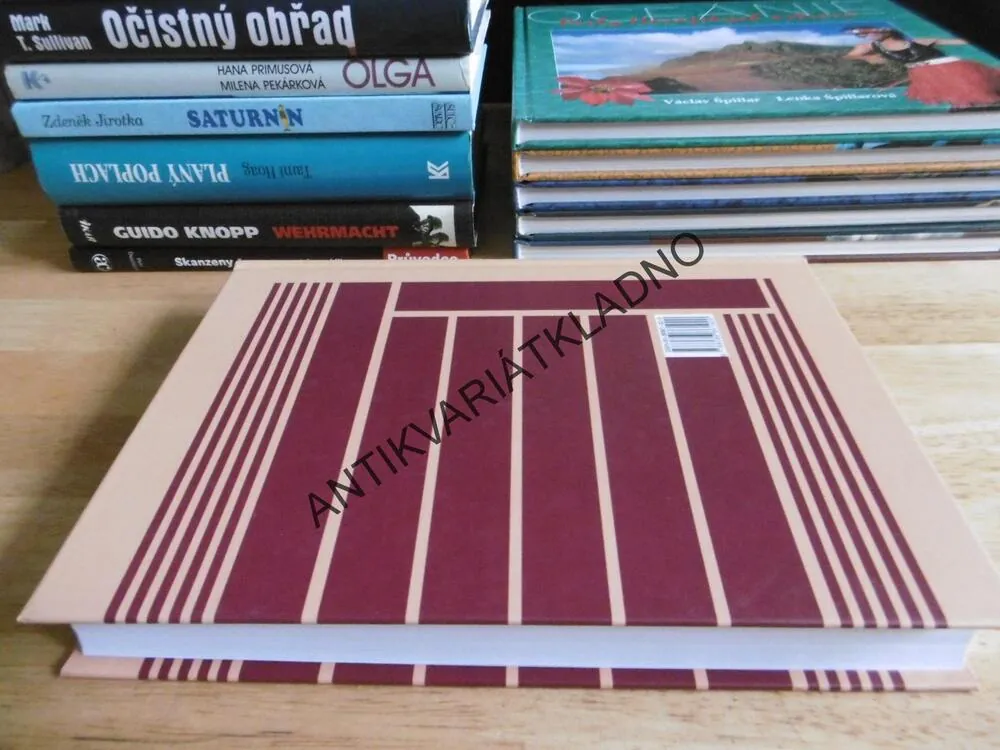 ORGANIZACE ČESKOSLOVENSKÉHO STÁTU V MEZIVÁLEČNÉM OBDOBÍ, 1918-1938, KAREL SCHELLE, **an