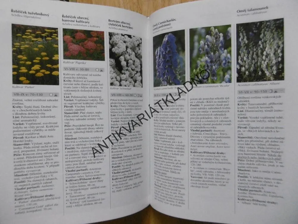 ZAHRADNÍ KVĚTINY, NÁPADY PRO MALÉ I VELKÉ ZAHRADY, BERND HERTLE, **an
