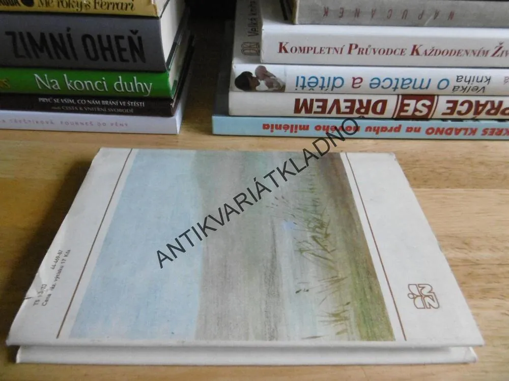 ÚDOLÍ PŘEKVAPENÍ, RUDOLF HRBEK, 1987 , **an