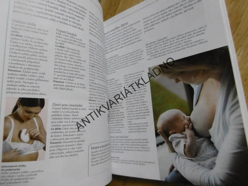 VELKÁ KNIHA O MATCE A DÍTĚTI, ELIZABETH FENWICKOVÁ, **an
