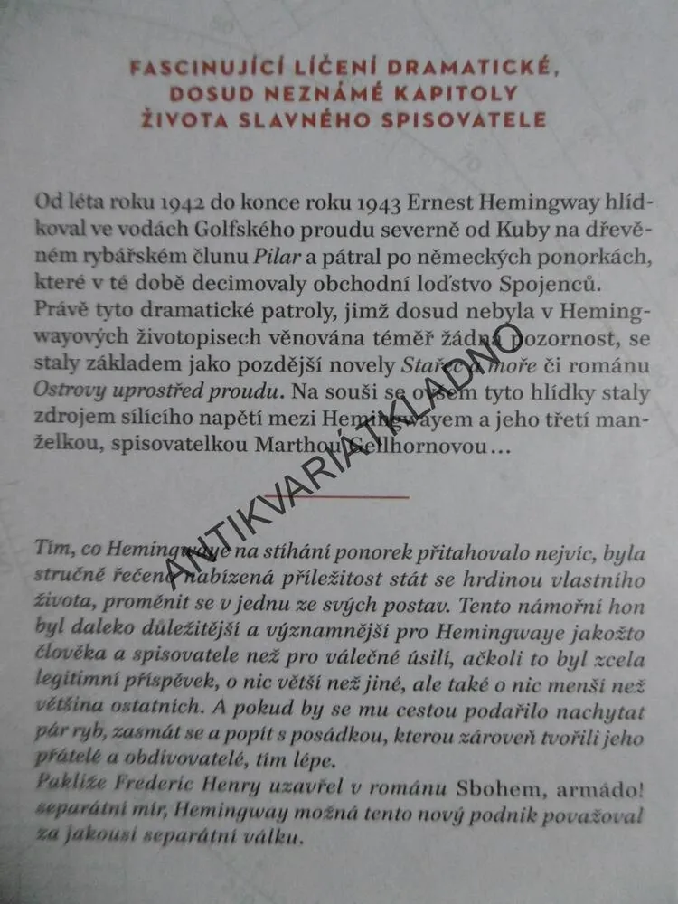 HEMINGWAYOVY HLÍDKY, ERNEST HEMINGWAY  A JEHO HON NA PONORKY, TERRY MORT, **an