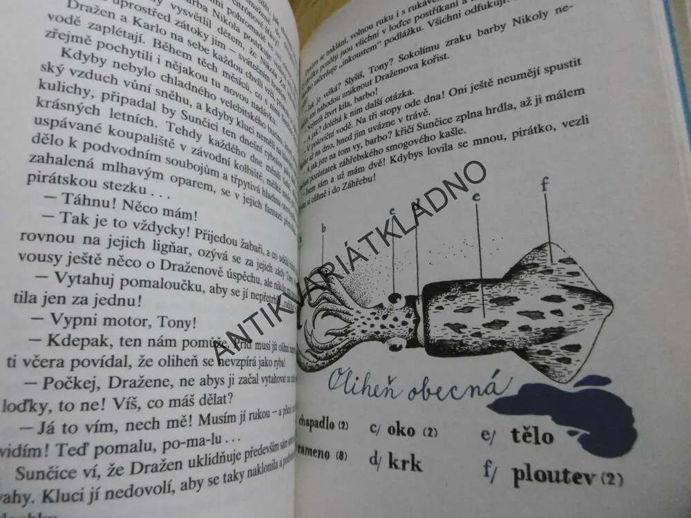 JAK SE LOVÍ CHOBOTNICE, MILAN OSMAK, **an