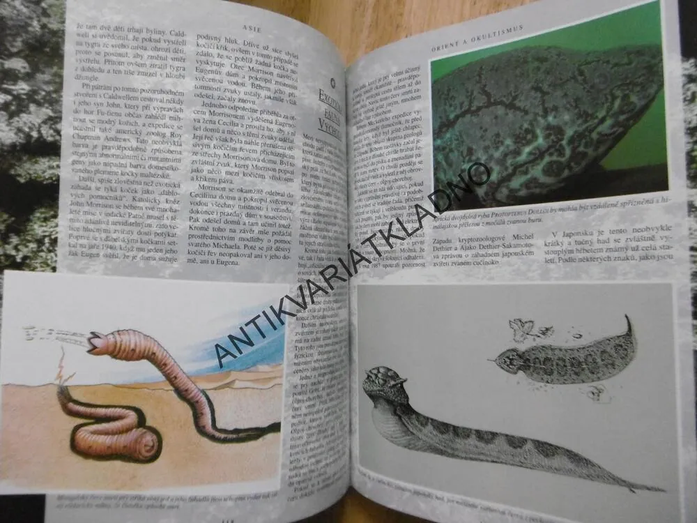 SVĚTOVÝ ATLAS ZÁHAD, KARL. P.N.SHUKER, **an