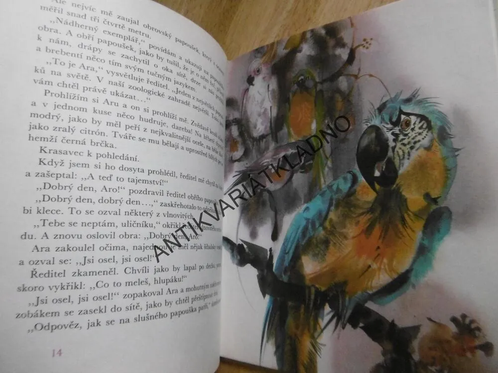 JAK JSEM KŘTIL MEDVĚDA, RUDO MORIC, **an