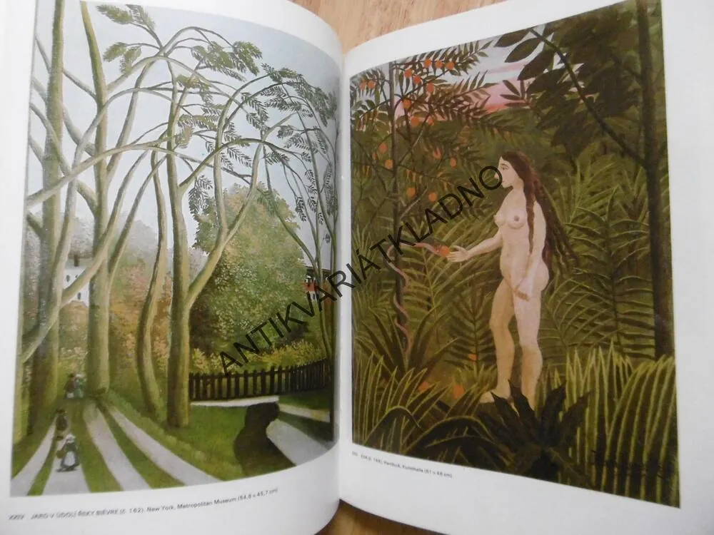 ROUSSEAU HENRI, KLASIKOVÉ UMĚNÍ, VÝTVARNÉ UMĚNÍ, **an