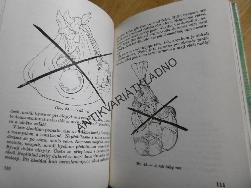 SBÍRÁME LESNÍ PLODY A HOUBY , SMOTLACHA, HRDLIČKA, MYKOLOGIE, **an