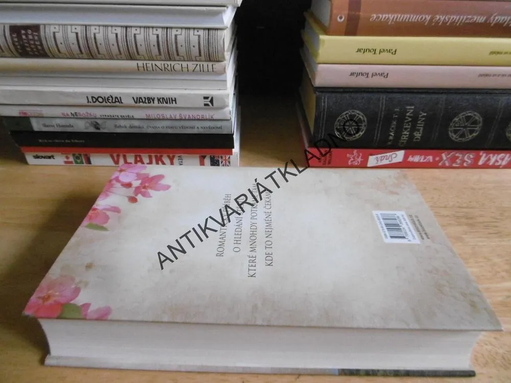 MAJÁK NA ÚTESECH, MARIE LAMBALLE, **an