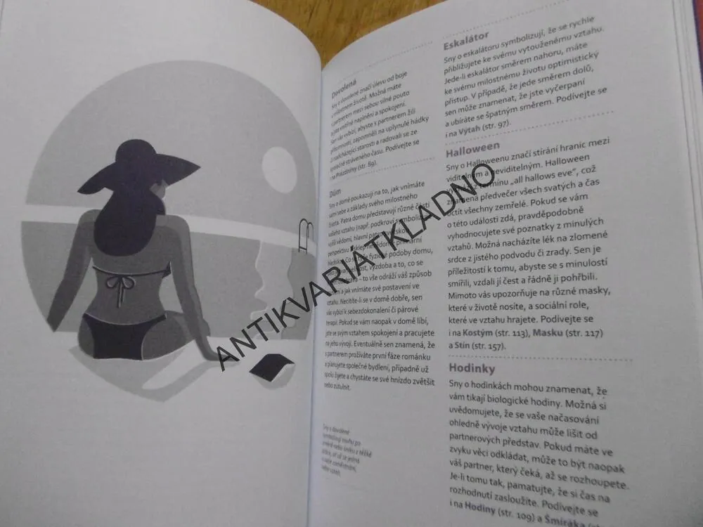 SNÁŘ, LÁSKA, SEX A VZTAHY, KELLY SULLIVAN WALDEN, 1000 SYMBOLŮ, **an