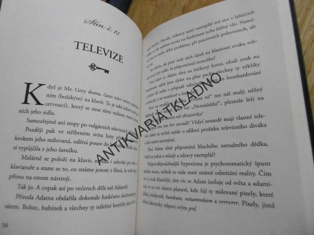 PADESÁT STÍNŮ ADAMA, ROSSELLA CALABRO, **an