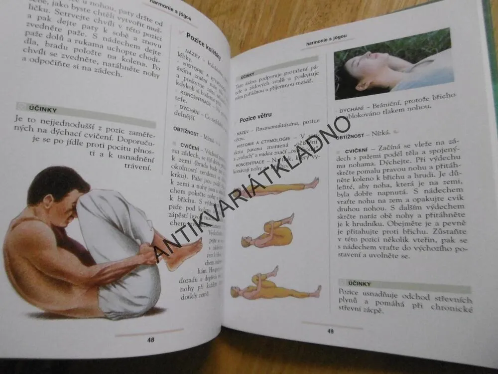 HARMONIE S JÓGOU, VANESSA BINI, JÓGA, **an