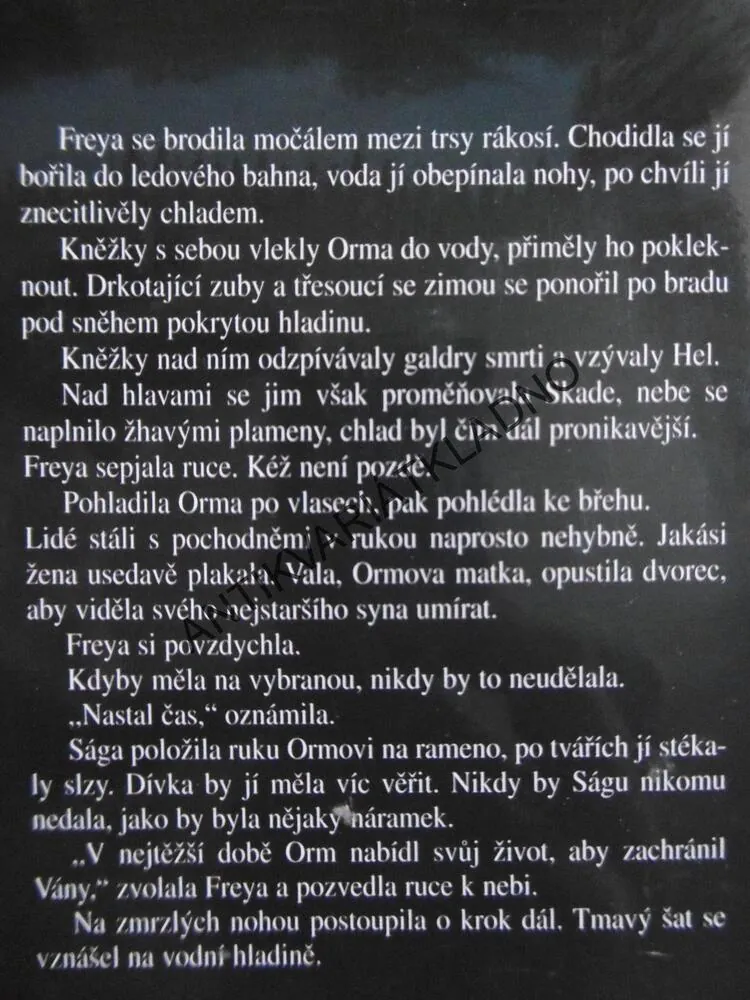SÁGA Z VALHALLY, JOHANNE HILDEBRANDTOVÁ, **an