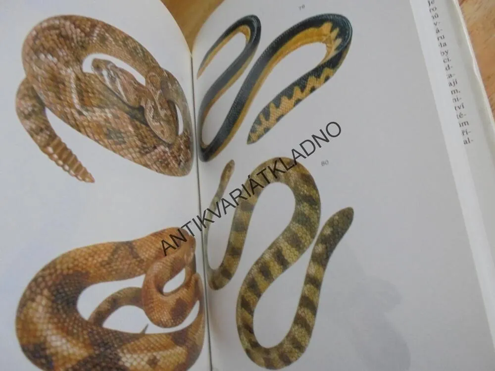 JEDOVATÍ ŽIVOČICHOVÉ, KŮRKA, PFLEGER,RYBY,JEŠTĚRKY