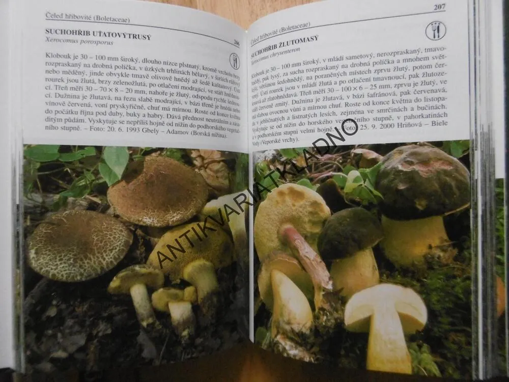 HOUBY ATLAS, LADISLAV HAGARA, MYKOLOGIE, **an