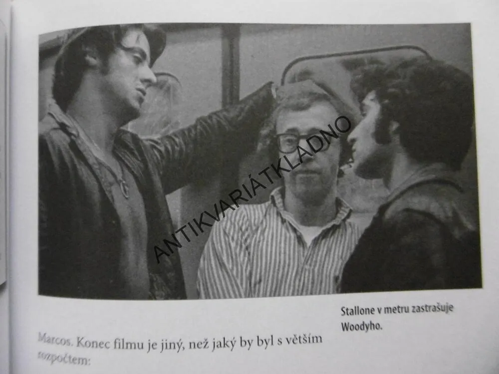 VŠE O WOODY ALLENOVI, WOODY ALLEN, BEZ DVD!!! **an