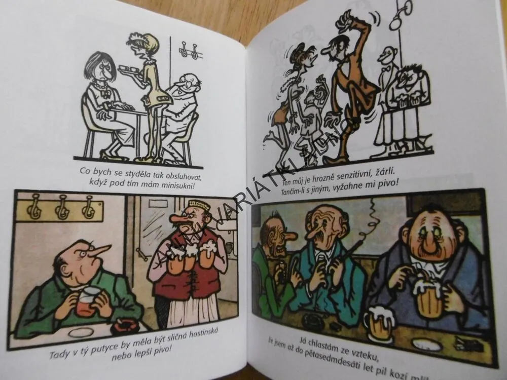 S NEPRAKTOU V HOSPŮDCE, ŠVANDRLÍK, NEPRAKTA, **an