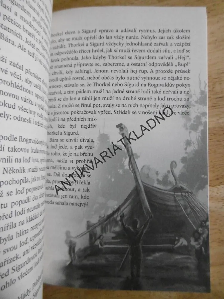 VIKINGOVÉ, ZÁHADA ROHATÝCH PŘILEB, VERONIKA VÁLKOVÁ, PETR KOPL, **an