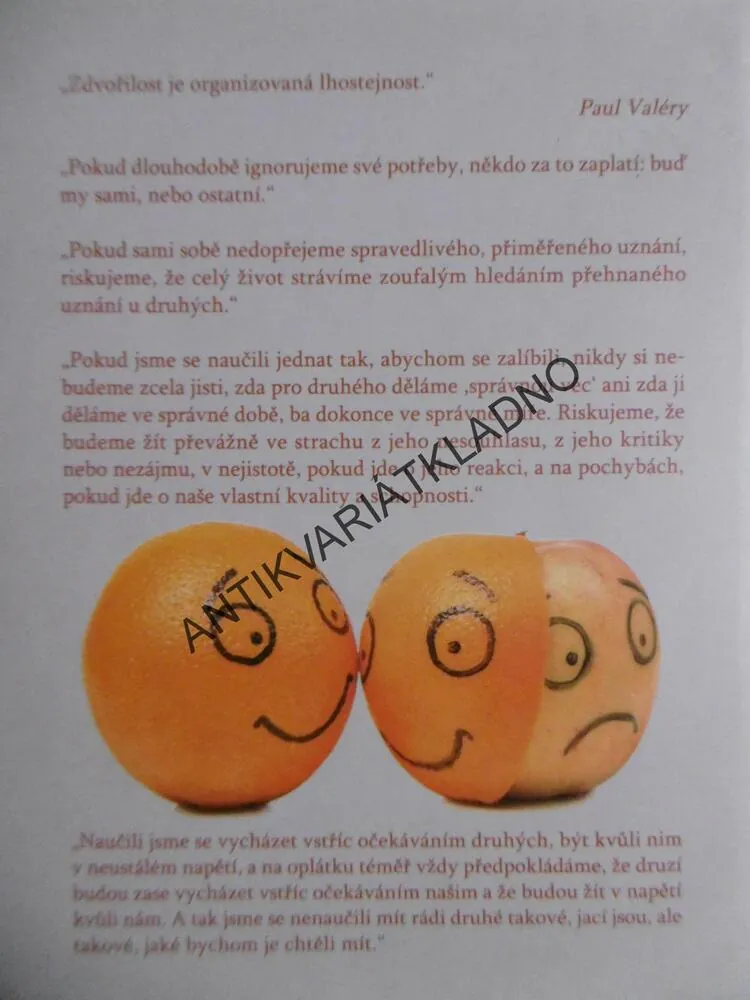 PŘESTAŇTE BÝT HODNÍ, BUĎTE SAMI SEBOU, THOMAS D´ANSEMBOURG, **an