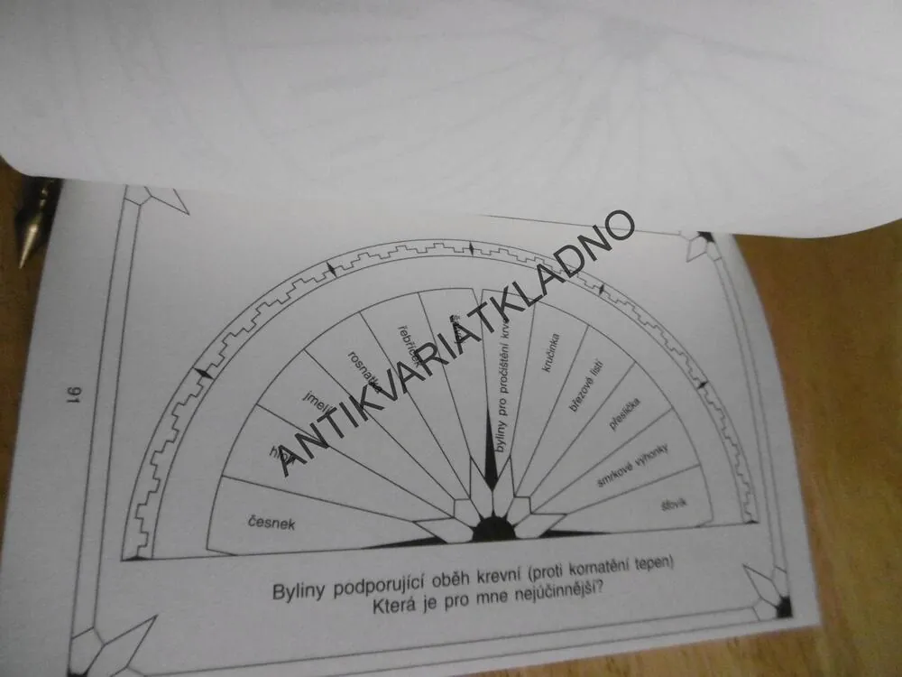 PRAKTICKÁ KNÍŽKA O SIDERICKÉM KYVADÉLKU, D. JURIAANSE, 1995 