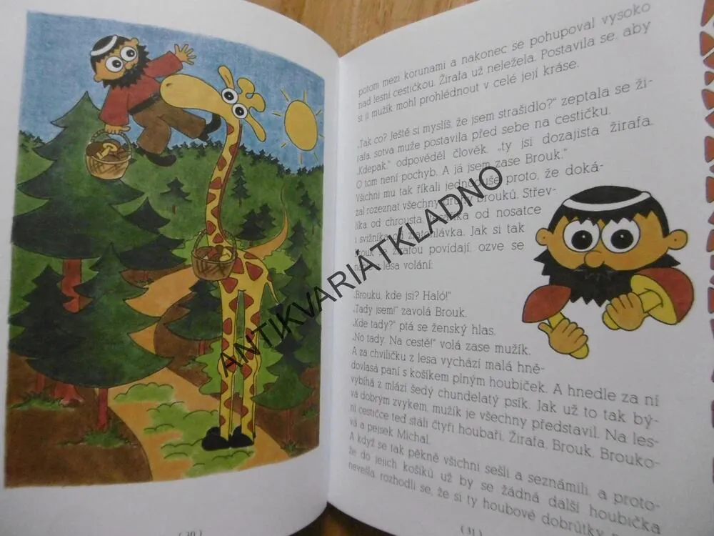 FLEKATÉ POHÁDKY, IRENA RIČLOVÁ, **an