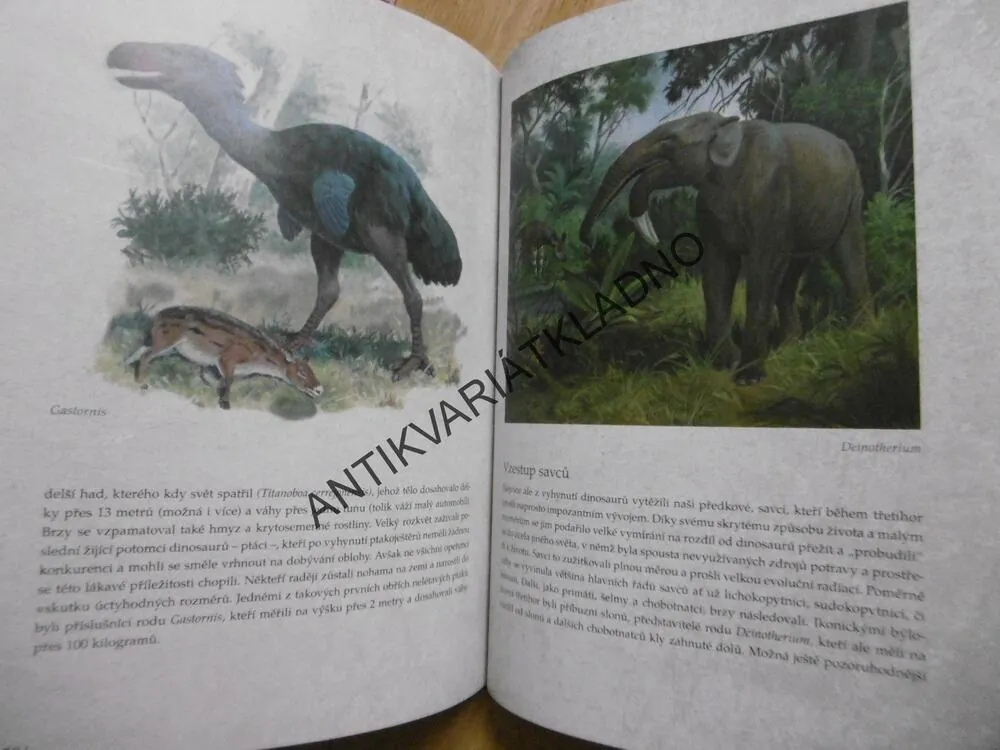 TAJEMSTVÍ EVOLUCE, PAVEL PECHÁČEK, MILOSLAV MUŠKÁT, **an