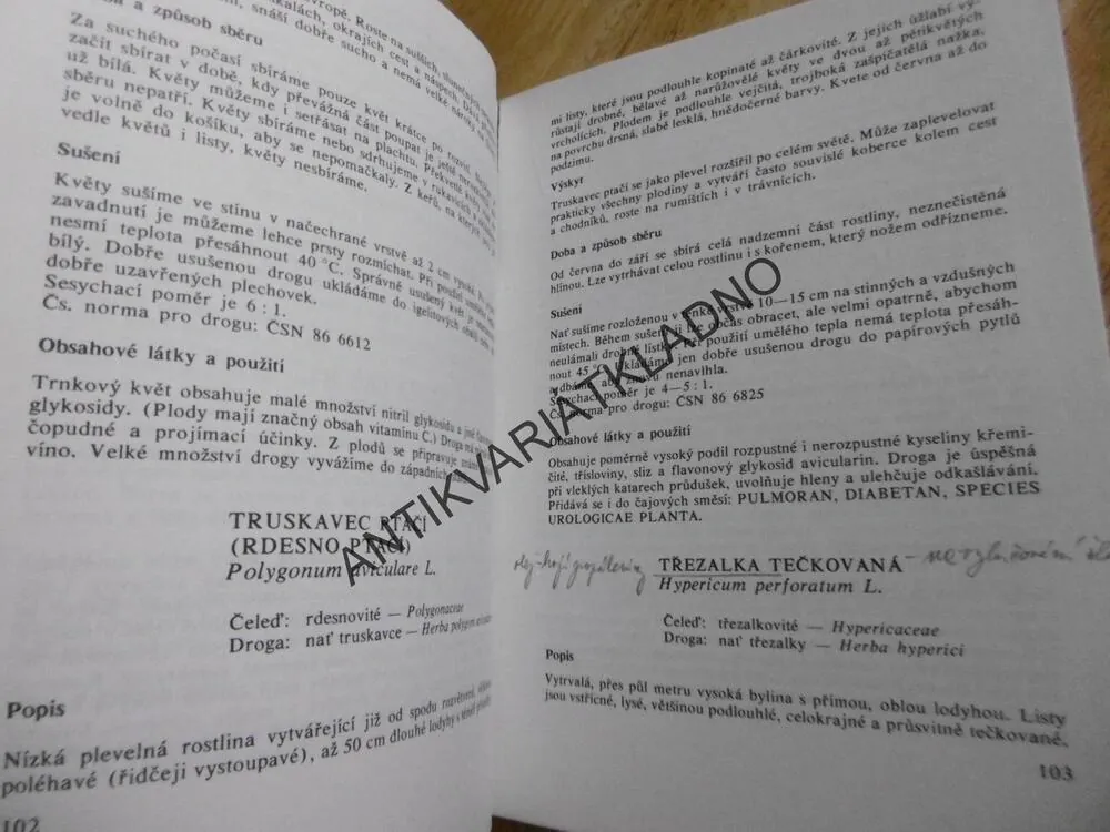 LÉČIVÉ ROSTLINY II., SBÍRÁME LÉČIVÉ ROSTLINY, **an