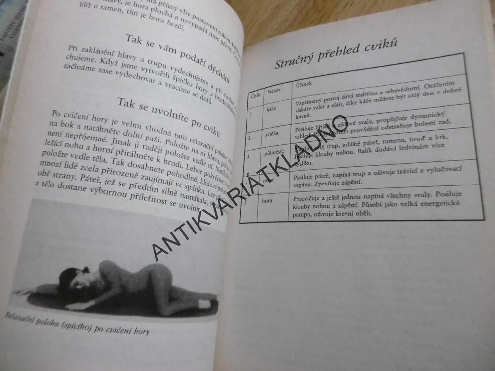 BUĎTE FIT S PĚTI TIBEŤANY, ARNOLD H. LANZ,