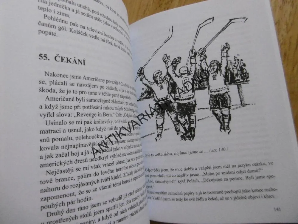 S DEVATENÁCTKOU DO BERNU, LUBOMÍR MAN, HOKEJ, 1992