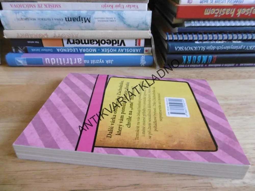 LEHCE NEMRAVNÝ ZÁCHODNÍK ANEB PRAKTICKÁ TOALETNÍ KNÍŽKA, **an