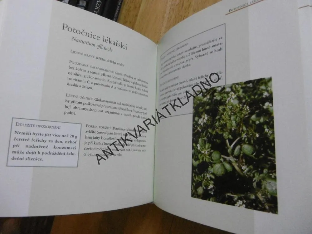 PŘÍRODNÍ MEDICÍNA, OBSAHOVÉ LÁTKY, LÉČEBNÉ ÚČINKY, UŽITÍ, **an