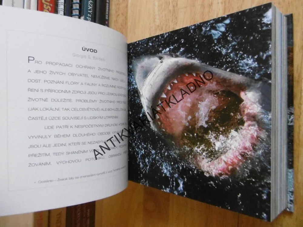 DIVOKÁ ZVÍŘÁTA, CUBE BOOK, **an