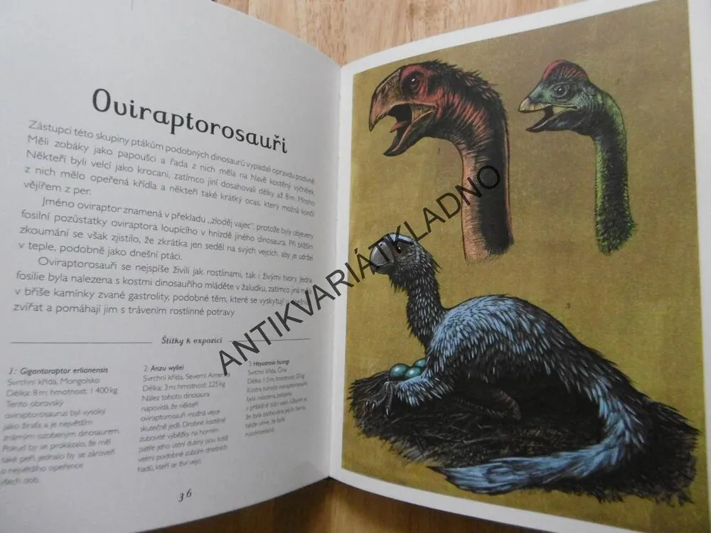 DINOSAURIUM, WORMELL, MURRAYOVÁ, DINOSAURUS, **an