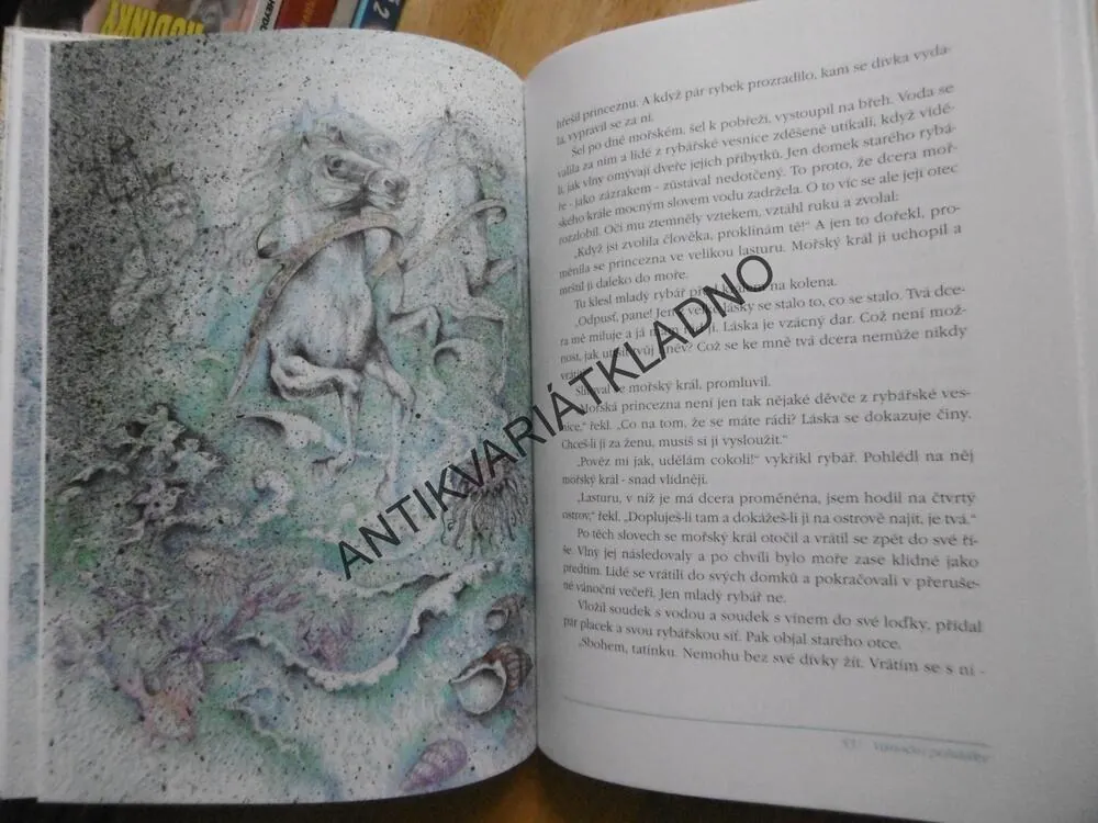 VÁNOČNÍ POHÁDKY Z CELÉHO SVĚTA, MARTINA DRIJVEROVÁ, **an