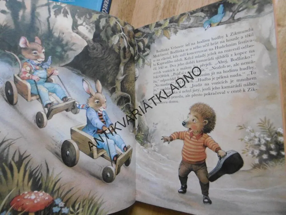 KAPRADÍ ÚDOLÍ, JOHN PATIENCE, **an
