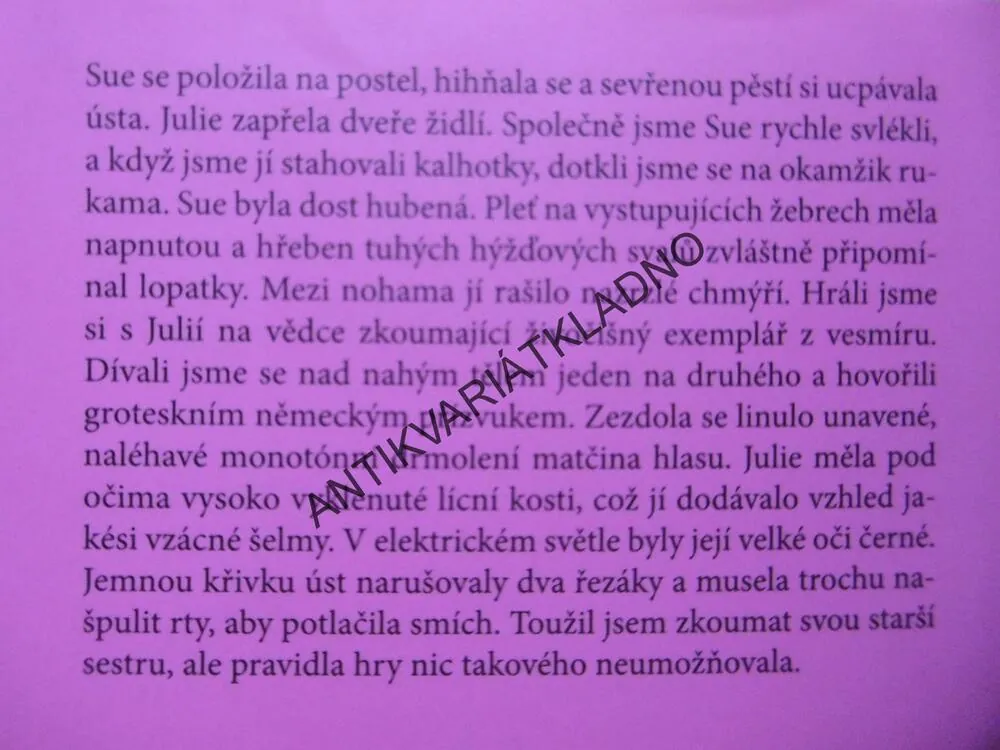BETONOVÁ ZAHRADA, IAN MCEWAN, **an