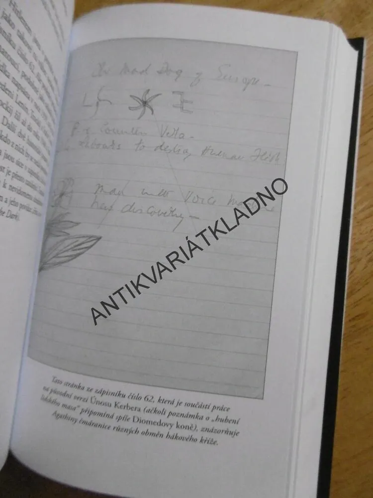 KOMPLETNÍ UTAJENÉ ZÁPISNÍKY, AGATHA CHRISTIE, JOHN CURRAN, **an
