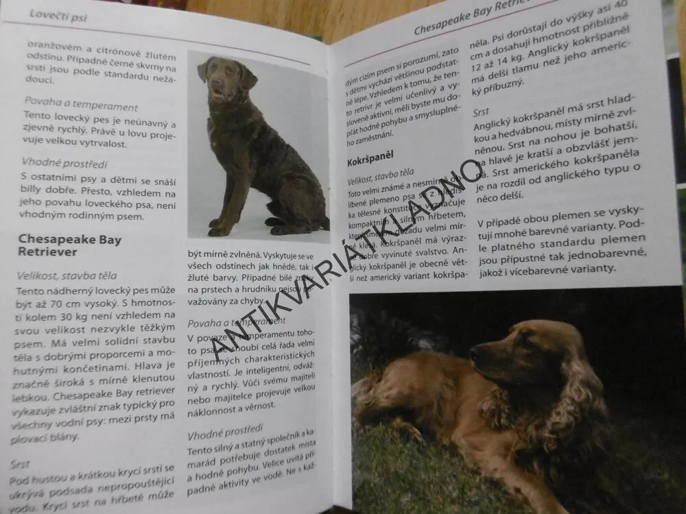 PSI, POZNÁVÁME A URČUJEME, **an