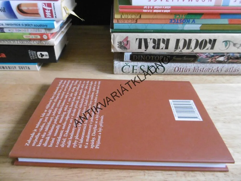 ZAČNI ŽÍT, NADINE GORDIMEROVÁ, **an