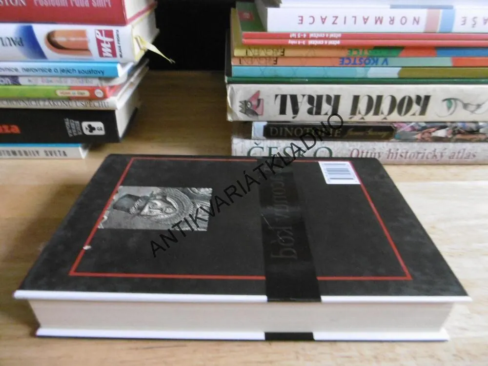 SHAKESPEARŮV KÓD, VIRGINIA M.FELLOWSOVÁ, **an