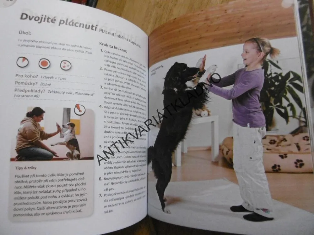 HRY SE PSEM NA DOMA, DUŠEVNÍ GYMNASTIKA, TRIKY A HRY, ANJA JAKOBOVÁ, **an