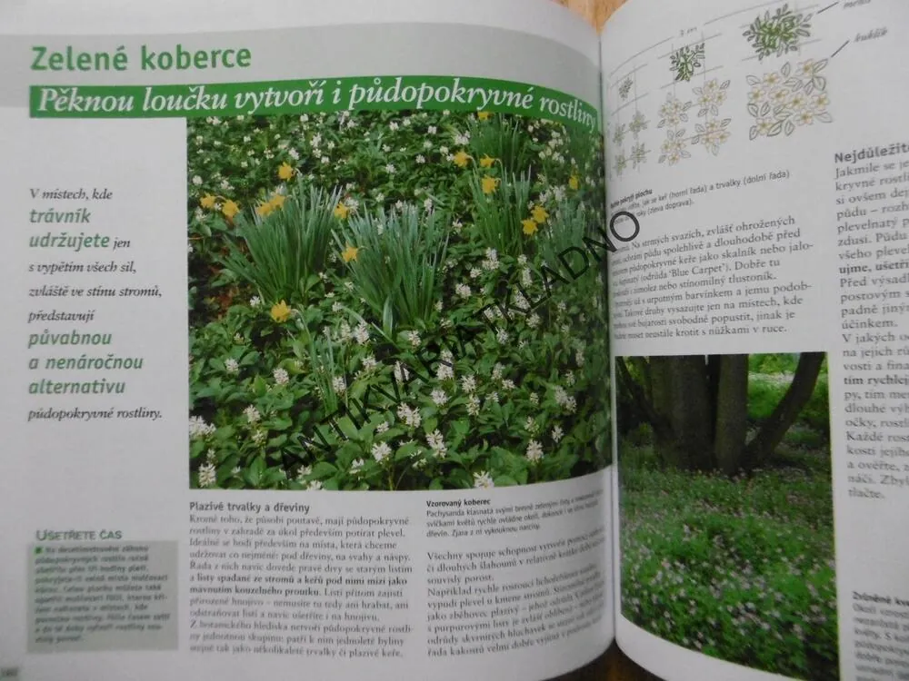 KRÁSNÁ NENÁROČNÁ ZAHRADA, VÝBĚREM ROSTLIN A VHODNOU PÉČÍ UŠETZŘÍTE ČAS, **an