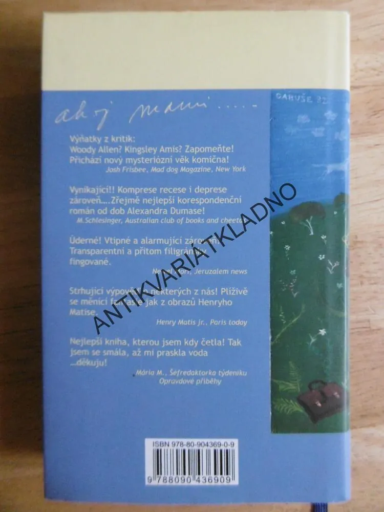 AHOJ MAMI, VÍT POKORNÝ, **an