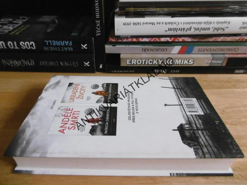 STARÁ TAJEMSTVÍ, PATRICIA GIBNEYOVÁ, **an