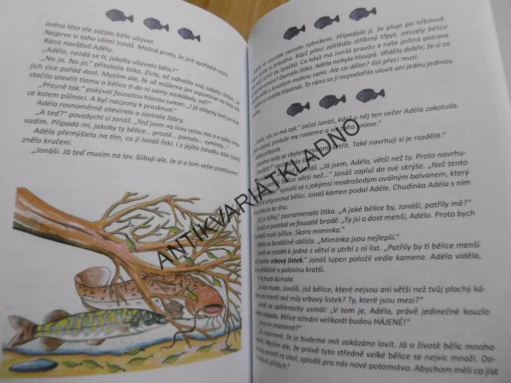 KAPŘÍK METLÍK, NOVÝ DOMOV, JAN OPATŘIL, **an