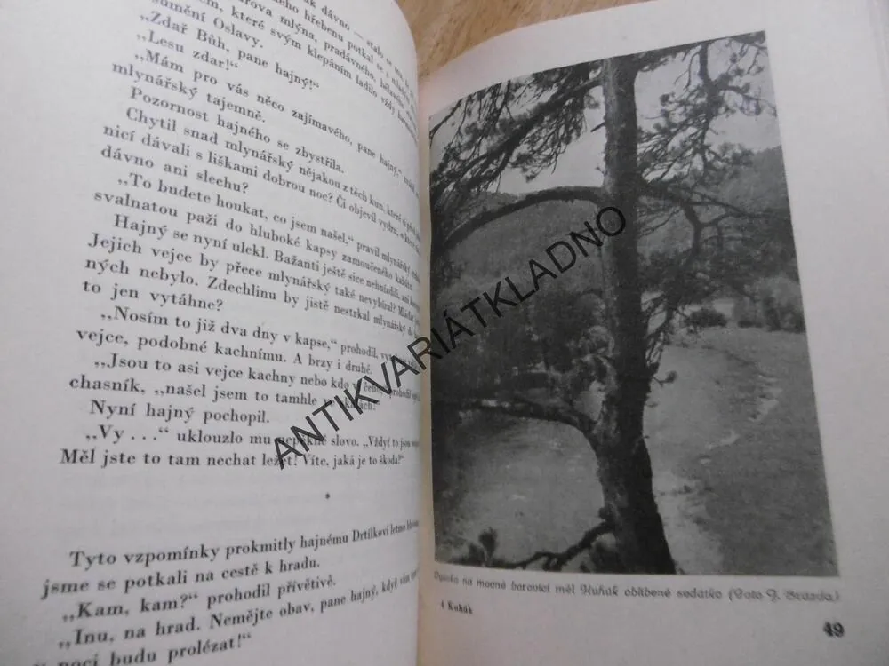 KUHÚK, CHVOJNICKÝ VÝR, F.K. BABY, 1943, **an