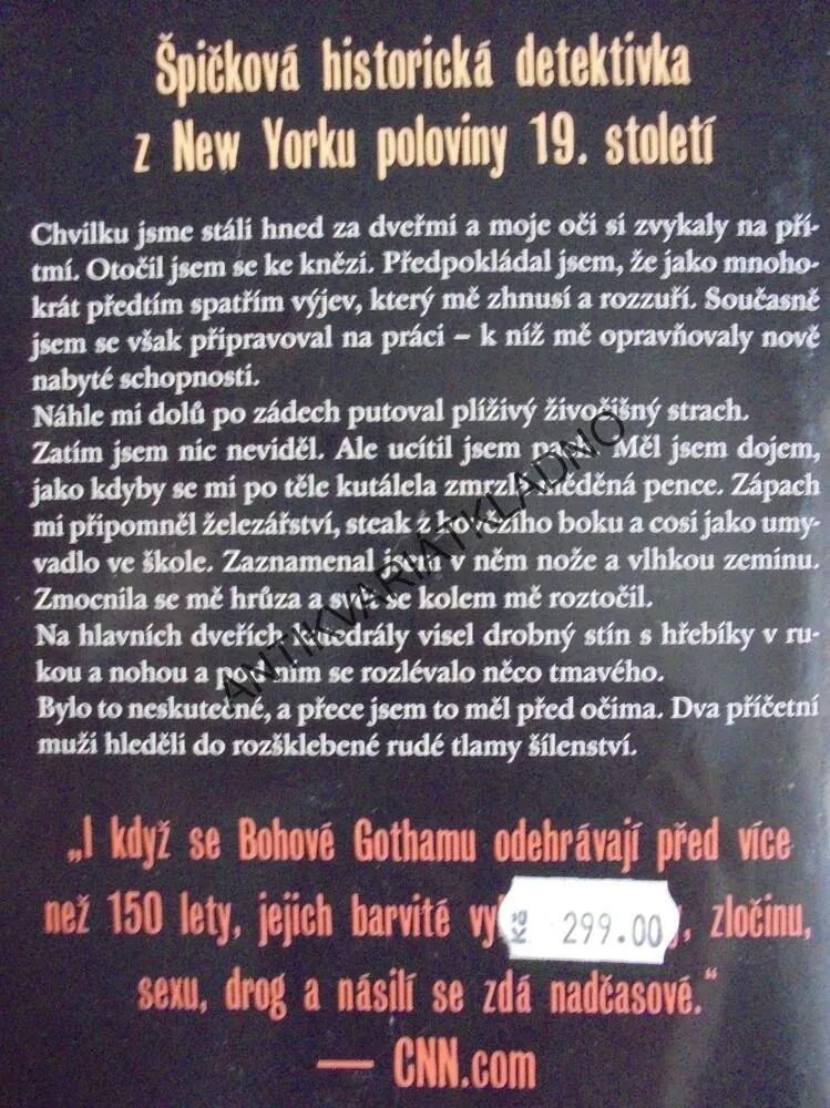 BOHOVÉ GOTHAMU, LYNDSAY FAYEOVÁ, DETEKTIVKA FLYNNOVÁ, **an