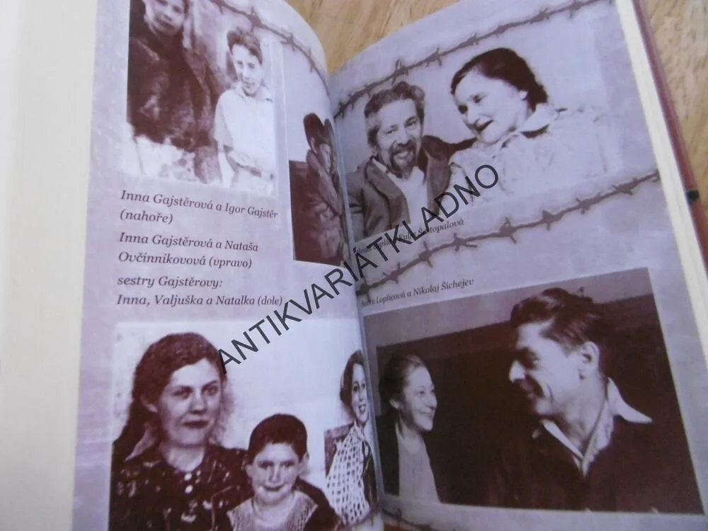 DĚTI NEPŘÁTEL LIDU, ŠOKUJÍCÍ PŘÍBĚHY TĚCH, KTEŘÍ PROŠLI STALINSKÝM PEKLEM, INNA ŠICHEJEVOVÁ ,**an