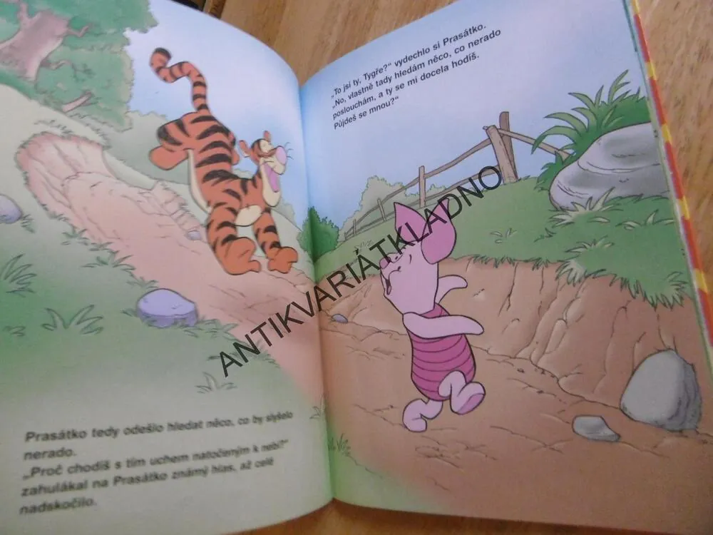 KAŽDÝ PODLE CHUTI, MEDVÍDEK PÚ, WALT DISNEY, **an