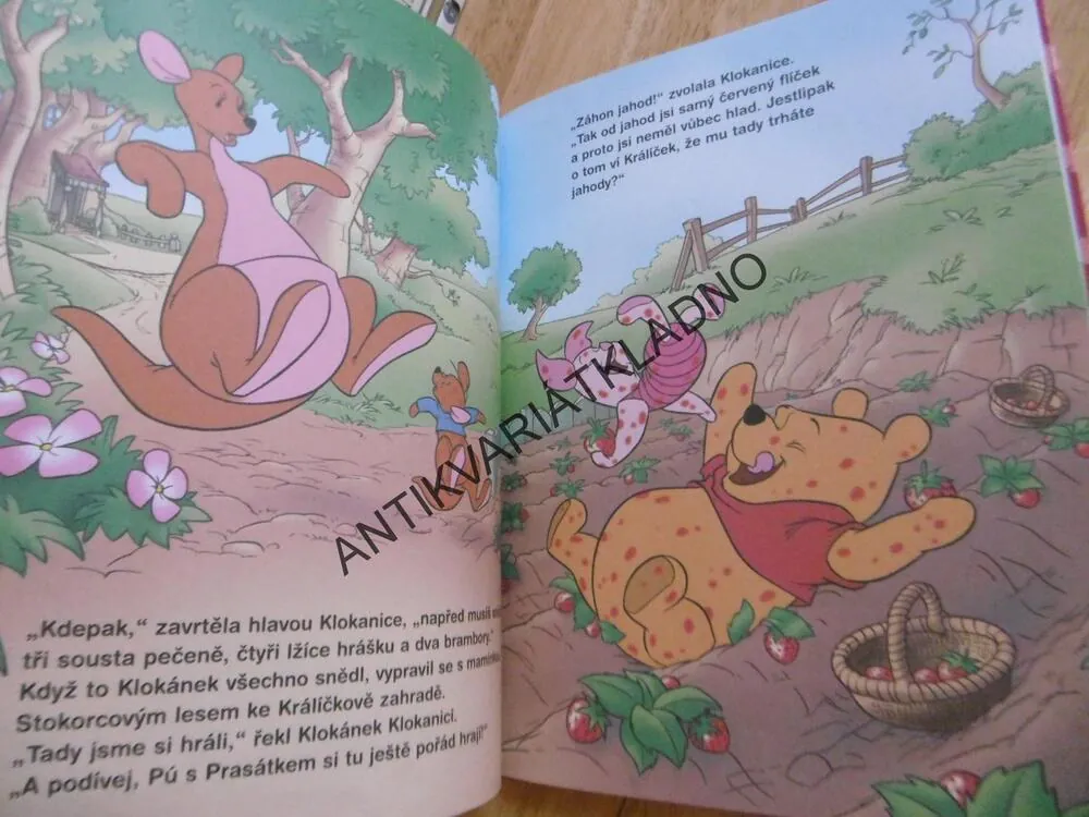 OVOCNÁ HOSTINA, MEDVÍDEK PÚ, WALT DISNEY, **an