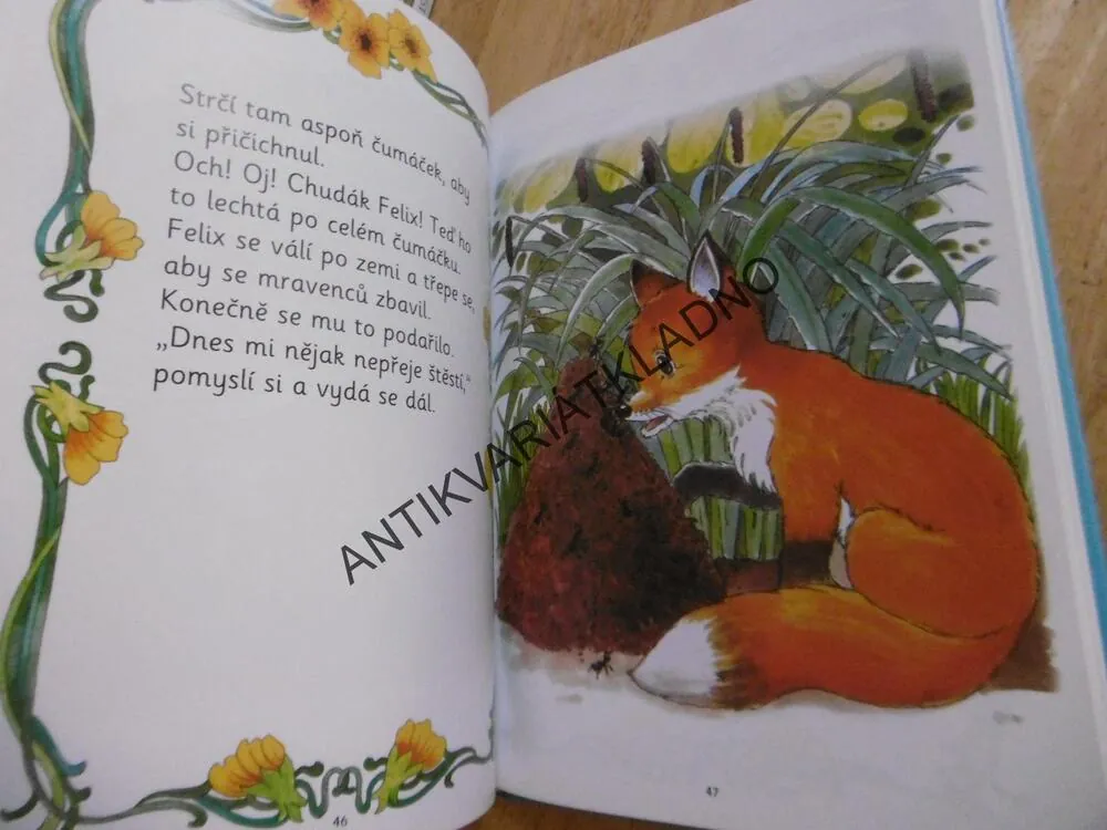MLÁĎÁTKA NA POLI A V LESE, ANNE SUESS, **an