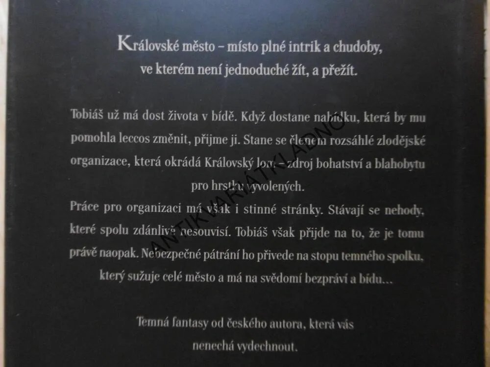 V PAVOUČÍ SÍTI, JAKUB HRDOUN, **an